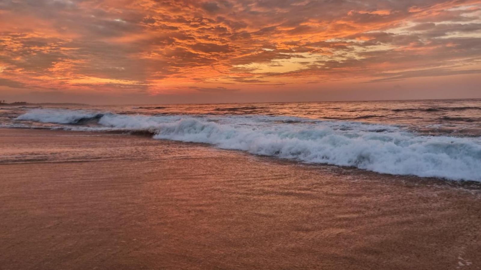 Cinnabar Resort Tangalle Eksteriør bilde