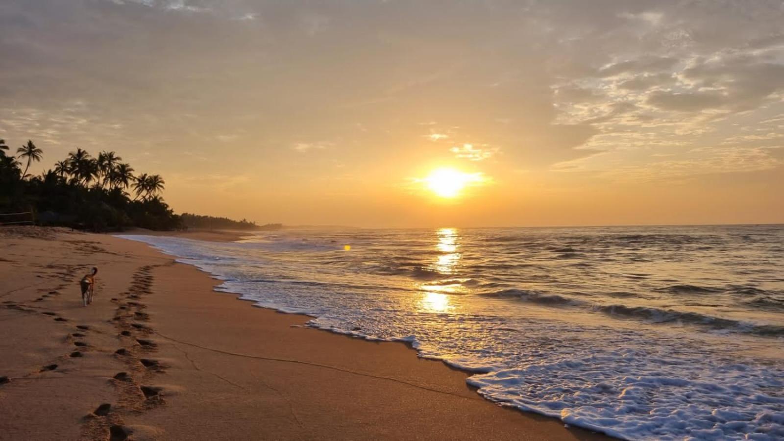Cinnabar Resort Tangalle Eksteriør bilde