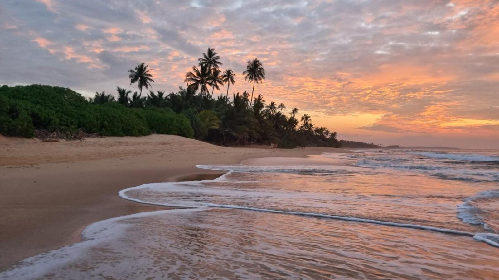 Cinnabar Resort Tangalle Eksteriør bilde