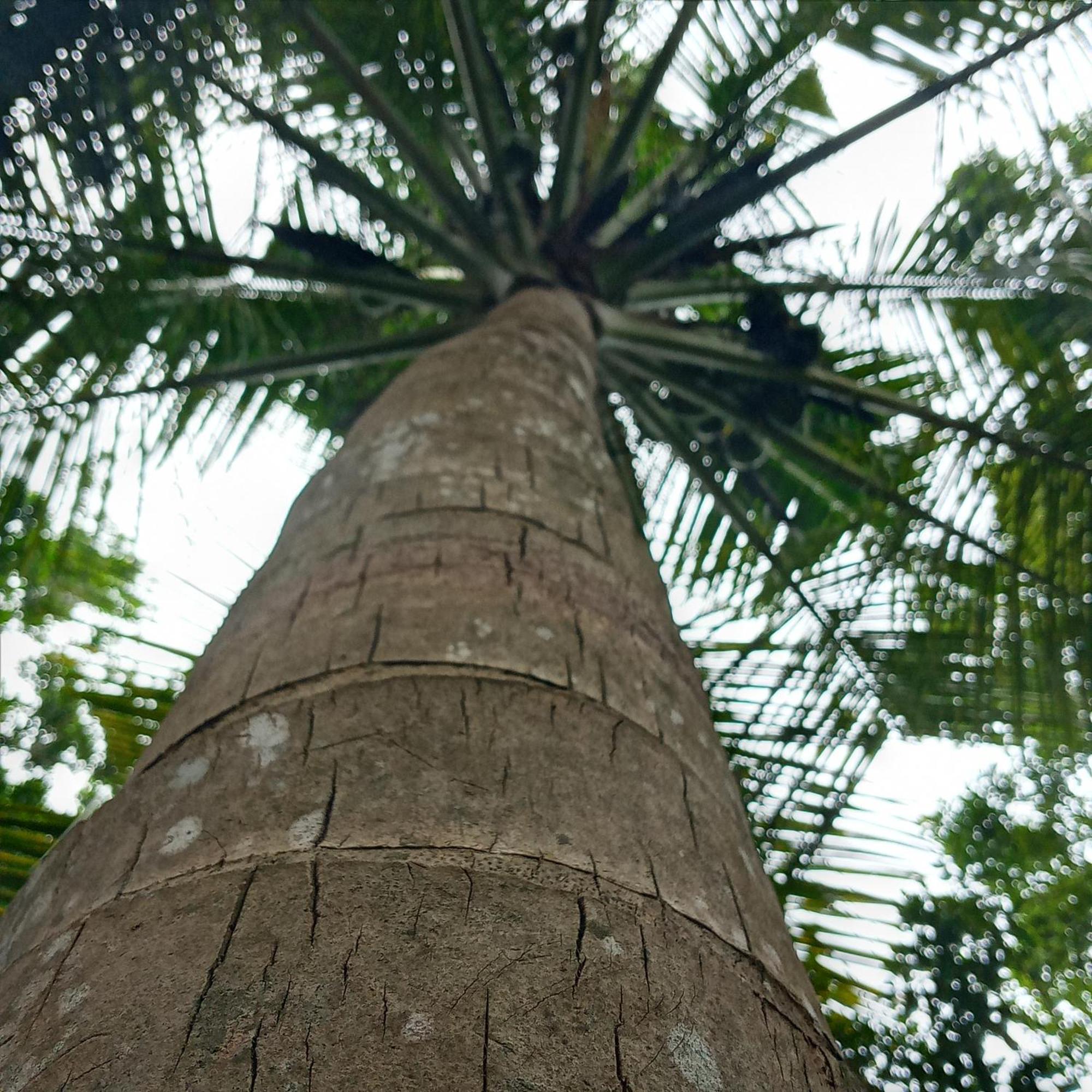 Cinnabar Resort Tangalle Eksteriør bilde