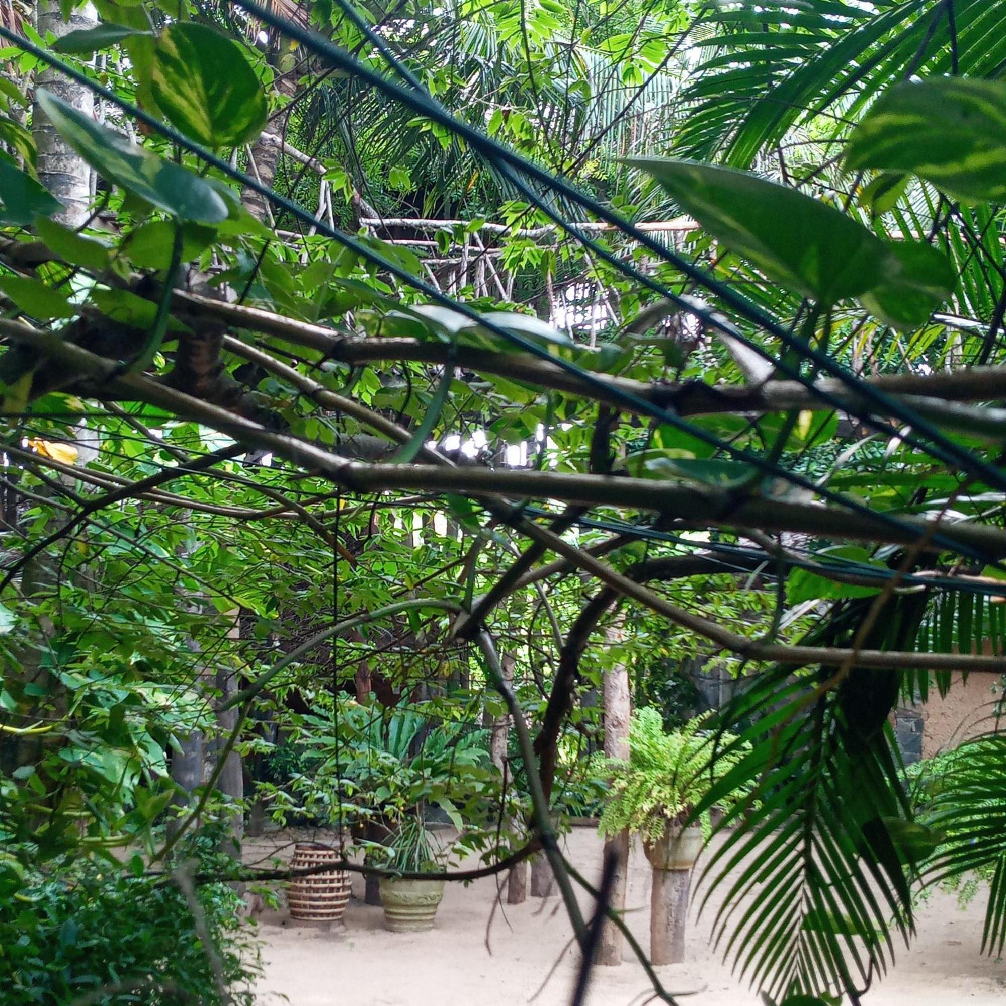 Cinnabar Resort Tangalle Eksteriør bilde