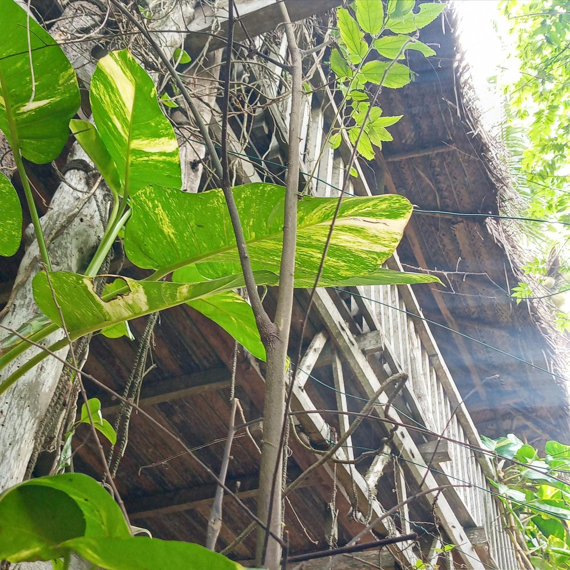 Cinnabar Resort Tangalle Eksteriør bilde