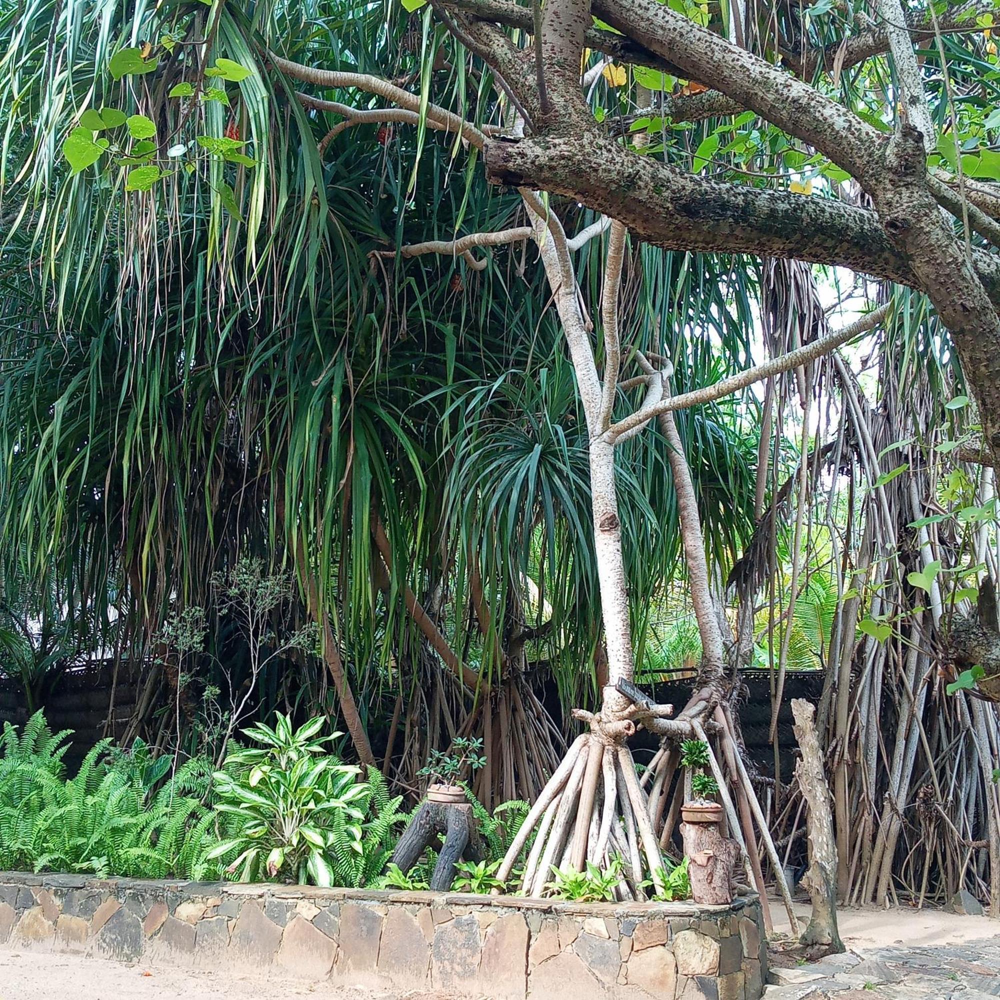 Cinnabar Resort Tangalle Eksteriør bilde